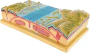 School Geology Class Teaching Aids - 3D Plate Tectonics Model Display Set, Include Sea-Floor, Mountain, Earth