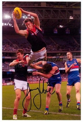 Signed Melbourne Demons AFL 28 x 18cm Photo - Jeremy Howe - Proof COA