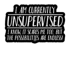 2 x Car Stickers - i am currently unsupervised the possisilities are endl