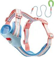 IUOUTG XS Dog Harness,No-Pull Padded Vest with 5 FT Training Dog Leash Breathable Mesh Harness for Small Dogs & Cats Walking