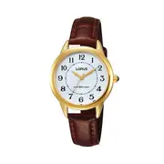 Lorus Ladies Daywear Watch in Gold