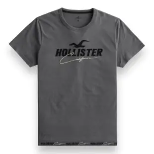 【HOLLISTER Co】海鷗 男生 多款 短袖T恤 男款 短TEE 多色多款(海鷗 男生 短袖 多款多色)