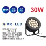 【台北點燈】舞光 30W LED 洗柱燈 OD-3184SP IP66 戶外照明