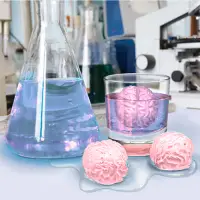 在飛比找蝦皮購物優惠-台灣現貨 大腦 大腦模具 矽膠模具 搞怪 調酒用 製冰盒 製