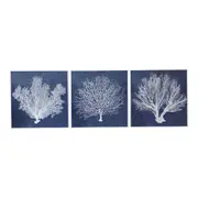 [Florabelle Living] Set 3 Navy & White Coral Framed Prints