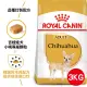 【法國皇家】吉娃娃成犬CHA 3KG