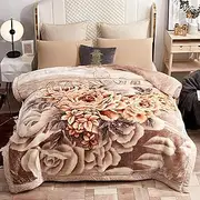 LGYKUMEG Mink Fleece Throw Blanket 59"x79", Korean Plush Blanket, 5lb/Double Ply Raschel Printed Thermal Blanket,for Single Bed and Sofa,150x200cm2.5kg