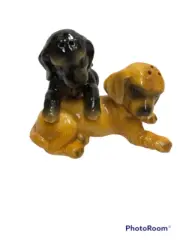 New Apple Tree Design Black and Brown Cocker Spaniel Dog Salt and Pepper