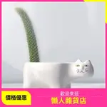 猴尾柱九尾狐貓咪尾巴藝術花盆桌面綠植卡通仙人掌植物新款盆栽