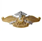 Vanguard Regulation Size Officer Navy Fleet Marine Force Badge- Gold and Silver