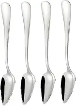 LAPYAPPE Pcs Fruit Puree Spoon Stainless Steel Scraping Spoons Versatile Design for Home Use