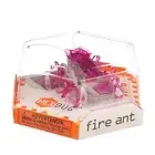 Robotic HEXBUG Fire Ant Pink - I/R Remote - Dark Magenta Pink - New / Sealed