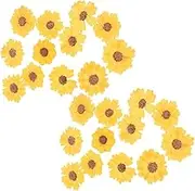 HEALSOPTHY 24pcs Real Dried Daisy Flowers for DIY Crafts for Candle Making Phone Case Decoration Scrapbooking More Natural Dried Flowers Material for Creative Projects