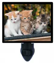 Cat Decorative Photo Night Light, The Next Generation