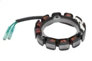 Alternator stator PARSUN F6-04000800A for Outboard engine 0.1 2013-