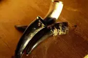 Viking Drinking Horn