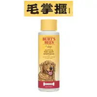 在飛比找樂天市場購物網優惠-Burt's Bees 小蜜蜂爺爺 - 蘋果醋蘆薈沐浴露16