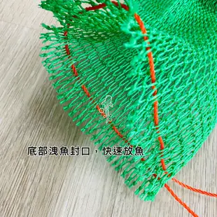 潛鯨 魚簍 龍蝦網 漁獲網 夜潛 打魚 潛水 漁獵 夜潛 自由潛水 配重帶 漁網 裝魚 魚串