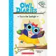 Eva in the Spotlight: A Branches Book (Owl Diaries #13)