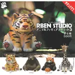 全套4款 日本正版 RBEN STUDIO 胖胖動物公仔 P3 扭蛋 轉蛋 胖胖動物 動物模型 KITAN 奇譚 - 307679