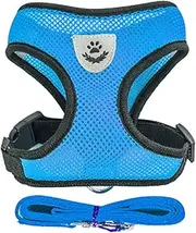 Pet Collar Cat Dog Adjustable Harness Vest Walking Lead Leash for Puppy Dogs Collar Polyester Mesh Harness for Small Medium Dog Cat Pet Pet Collars (Color : Blue, Size : L)