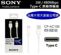 在飛比找樂天市場購物網優惠-【$199免運】SONY CP-AC100 Type-C 原