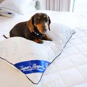 Super Sleeper Pro Adjustable Pillow With Cooling Technology - TV Offer