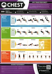 CHEST WORKOUT Professional Fitness Training Gym PosterFit POSTER w/QR Code