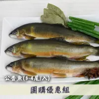 在飛比找台灣好農優惠-(10包組)宜蘭游大哥的頂級公香魚(500g/包；3～4尾裝