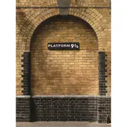 Platform 9 3/4 Fabric Backdrop