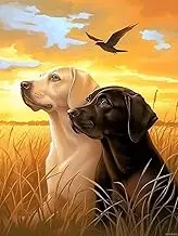 HMDIIMGE Cute Sunset Labrador Dog Diamond Painting Kits for Adults, DIY 5D Animal Diamond Art Full Drill for Adult, for Beginner Home Wall Decor Gift 12x16 Inch