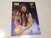 AFL HAWTHORN HAWKS LIAM SHIELS PLAYER CAPTAIN POST CARD BARGAIN FOOTBALL