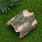 Hideout Tree Decoration Creeper Hiding Decor Turtle Hide Cave