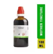 BJain Homeopathic Echinacea Purpurea Mother Tincture Q (100ml)