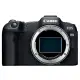 Canon EOS R8 無反光鏡數位相機 單機身 (平行輸入)