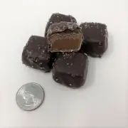 Gourmet Sugar Free Sea Salt Caramels Dark Chocolate Vanilla Caramels 1 pound