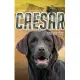 Caesar the War Dog