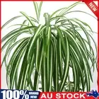 Artificial Garden Silk Spider Chlorophytum Faux Hanging Plants Home Decor AU