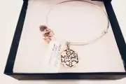 Alex and Ani Bat Mitzvah Two Tone Rafaelian Silver Charm Bangle NWT