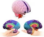Brain Model Labelled Plushie