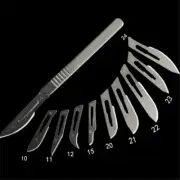 10 Pcs Stainless Steel Dental Surgical Blades #10/11/12/15 w/ Scalpel Handle #3