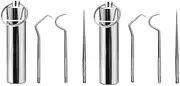 DCQQ 2PCS Stainless Steel Toothpicks Set Keychain Waterproof Cleaning Tooth Hook Scraper Portable Toothpick with Keychain Box Metal Reusable Dental Picks for Outdoor Travel Picnic Camping