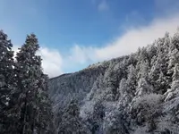 在飛比找KKday優惠-宜蘭太平山一日遊 | 翠峰湖.太平山莊 | 台北.宜蘭出發|