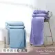 Tonia Nicole 東妮寢飾 超細纖維單人雪芙蓉毯 (紗霧紫/雪沐藍)