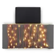 10m String Lights