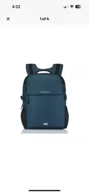 hedgren backpack