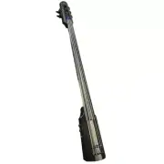 NS Design WAV5c Electric Omni Bass 5 String