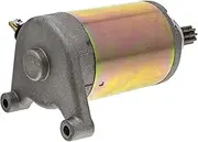 Starter Motor Compatible with Suzuki DR200SE DR200S VanVan 200 31100-42A20 Motorcycle
