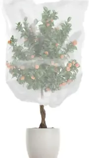 7.9 X 7.9 Ft Large Fruit Tree Netting，Garden Multipurpose Plant Tree Netting Tra