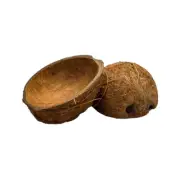 COCONUT SHELL 100% Natural Eco Friendly Halves Reptile Candle Decor USA SELLER